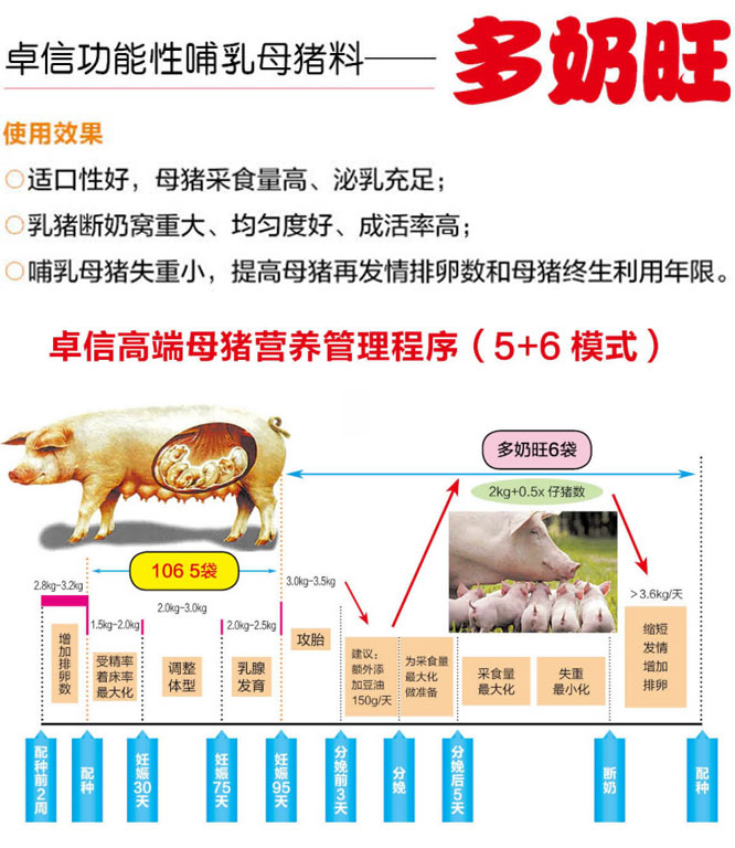 事業的保障--母豬料